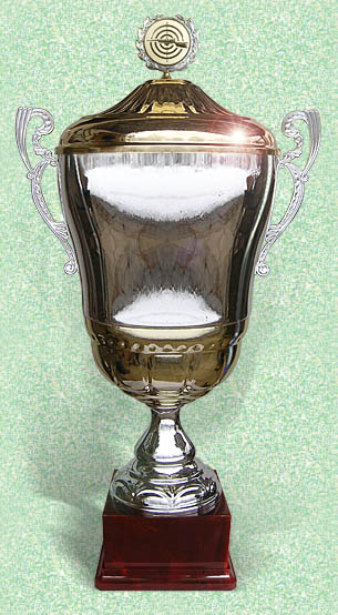 Pokal