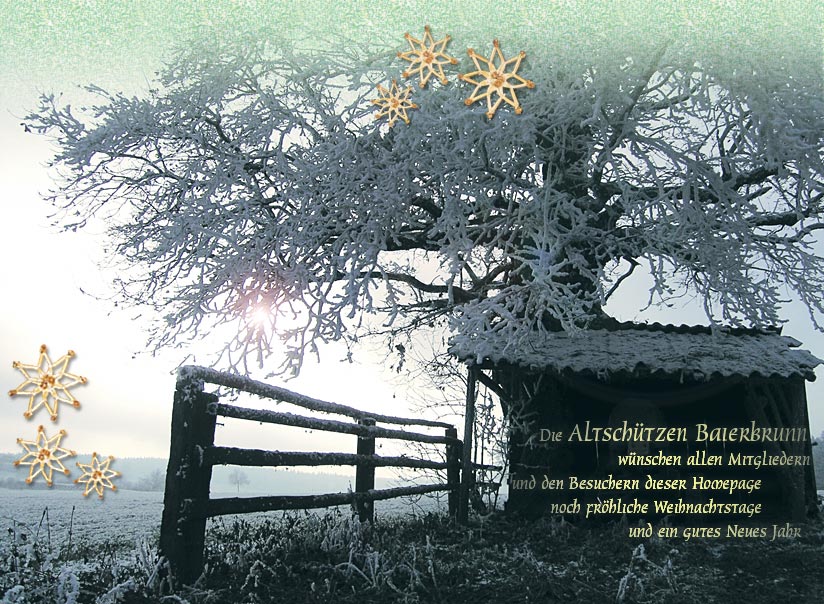 Weihnachtsfeier 2009 13